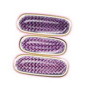 112