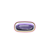 251