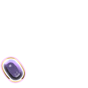256