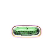 161