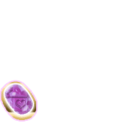 256