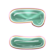 010