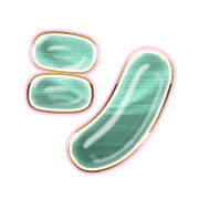092