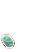 256