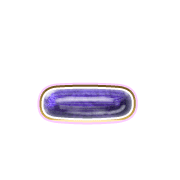 161