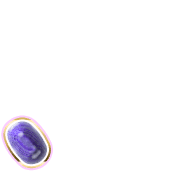 256