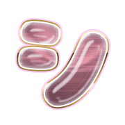 092