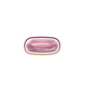 251