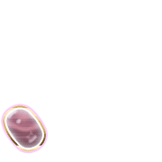 256