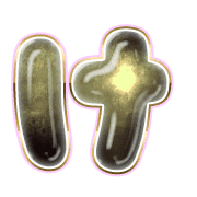 009