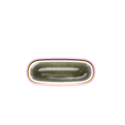 161