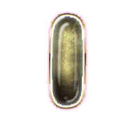 199