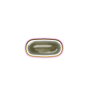 251
