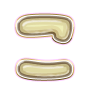 010