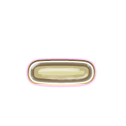 161