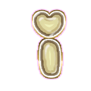 196