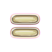 239