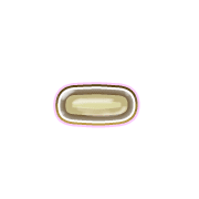 251