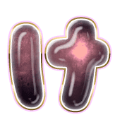 009