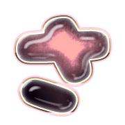 011