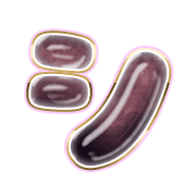 092