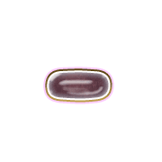 251