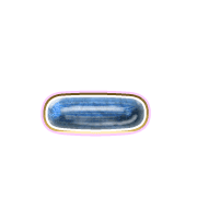 161