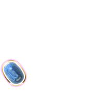 256