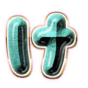 009