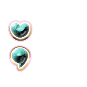 243