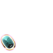 256