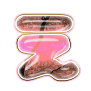 004