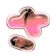 011