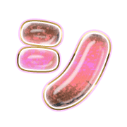 092