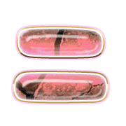 102