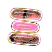 112
