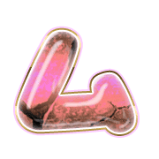 113