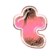 207