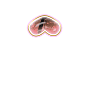 231