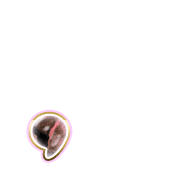 245