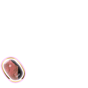 256