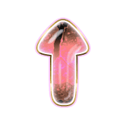 260