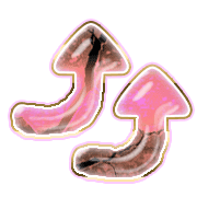 270