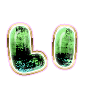 002