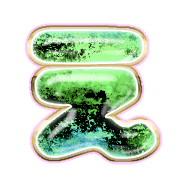 004