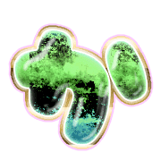 006