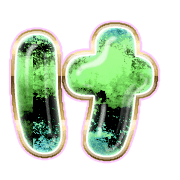 009