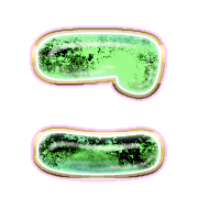 010