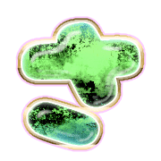 011
