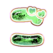 060